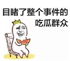 吃瓜群众道歉后反杀视频,一场网络舆论的风暴与反思